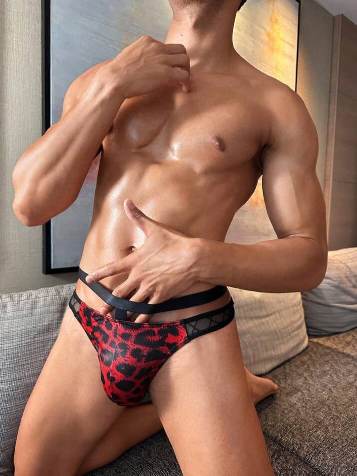 MAD-MEN Men's Leopard Print Contrast Mesh Sheer Sexy Underwear